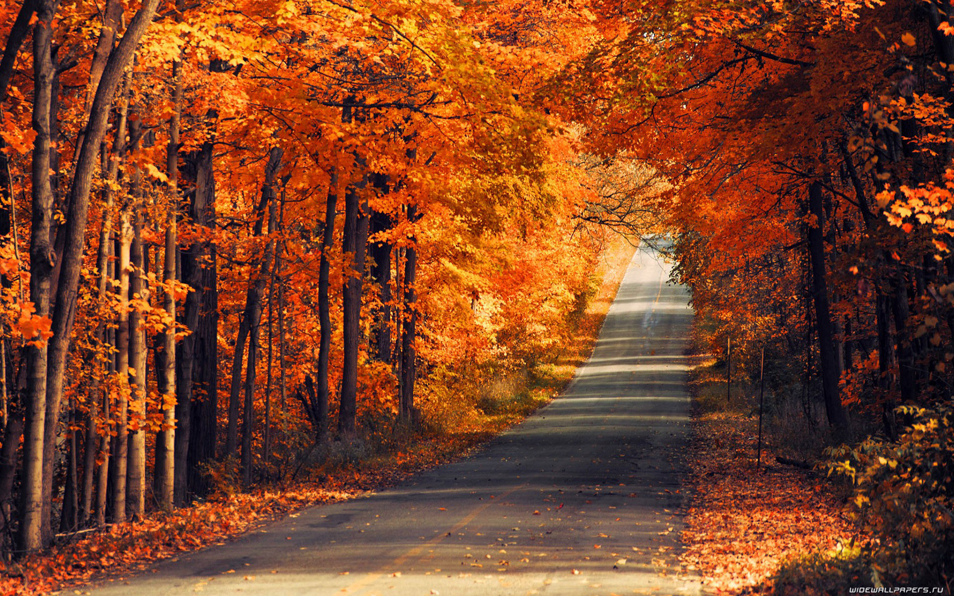 Куз н. Осень. Красивая осень. Осенняя природа. Осень фото.