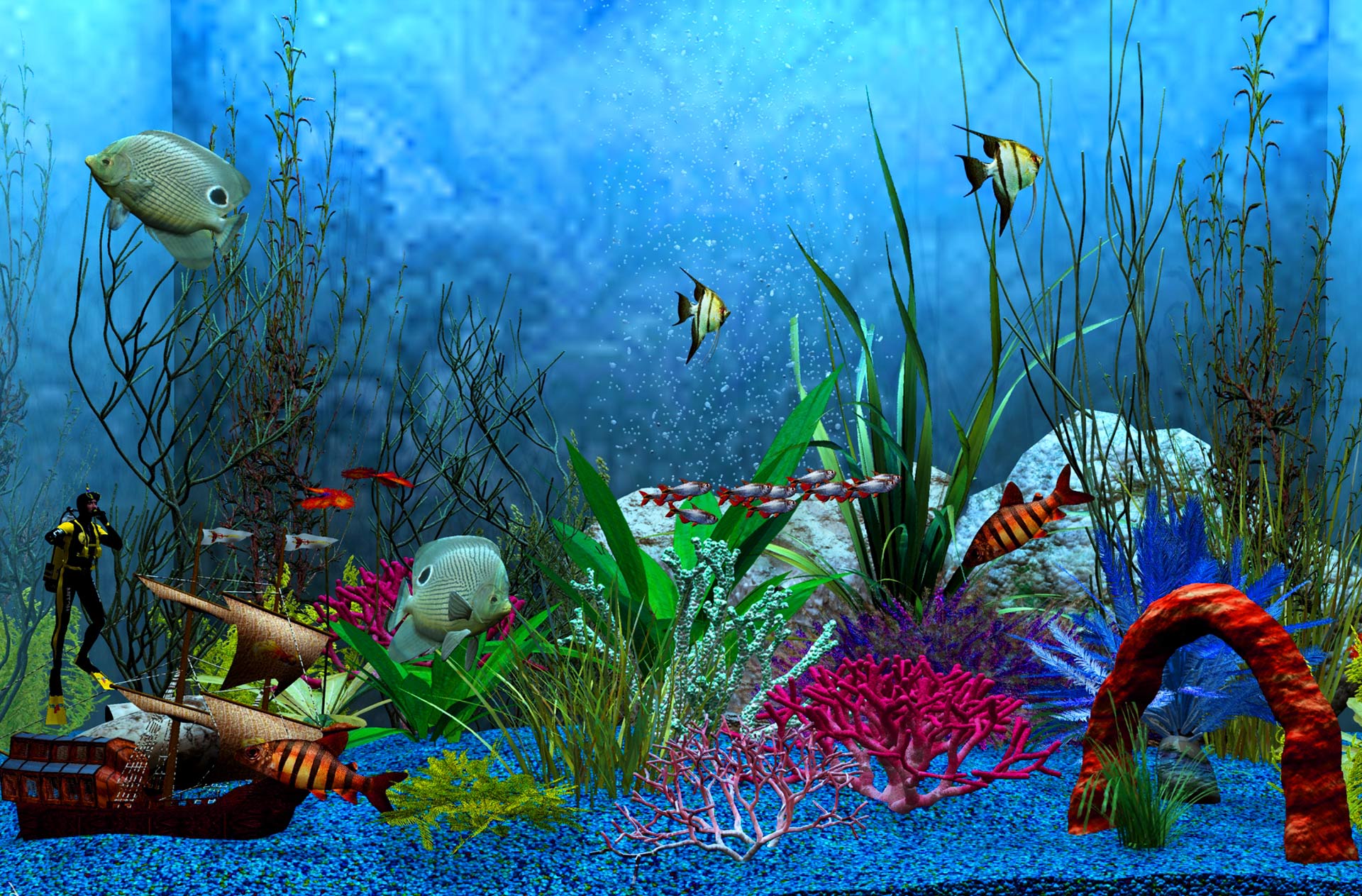 Люди на экран живые. Обои аквариум. Живой аквариум. Живые рыбки. Аквариум 3д.